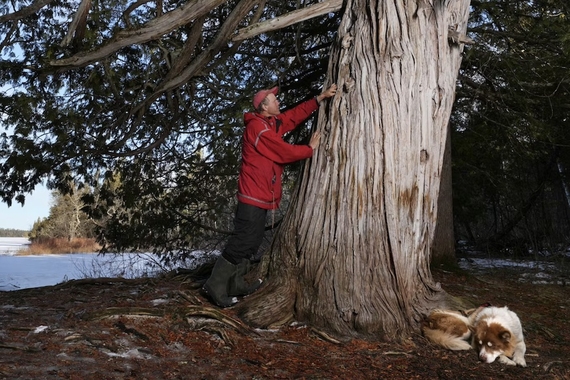 Paul Schurke puts tobacco in the Legacy Tree as a sign of respect as his dog rests 