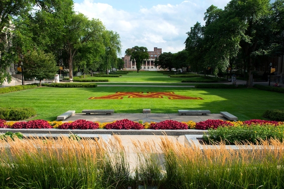 Block M painted on the grass on the mall, in front of Northrop Plaza, facing out down toward Coffman Memorial Union