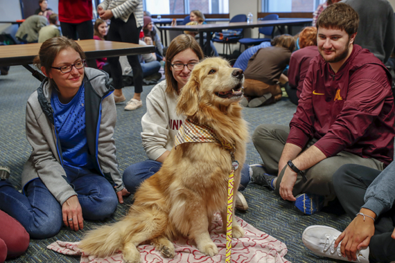 A golden retriever sits calmly in the middle of a group of young people