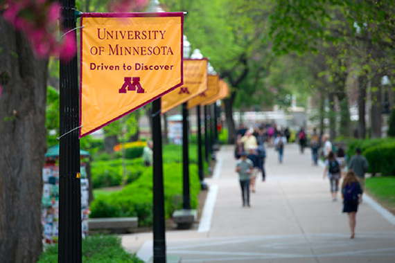 Picture of University of Minnesota banners 