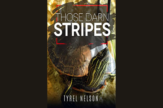 Those Darn Stripes book cover, a turtle peeking out from its shell