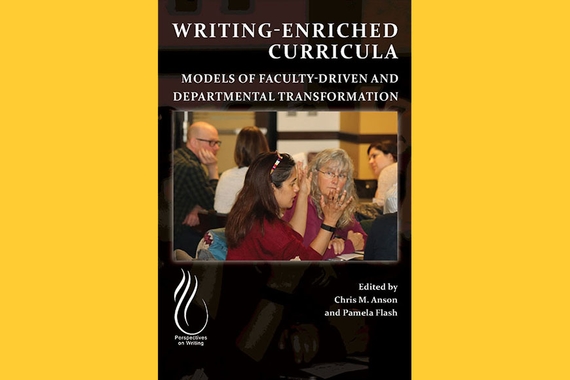 Image of book cover for Writing Enriched Curricula: Models of Faculty-Driven and Departmental Transformation