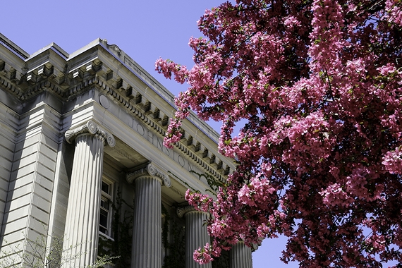 Johnston Hall with pink tree flowers in front