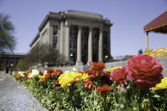 Spring flowers blooming in front of Johnston Hall