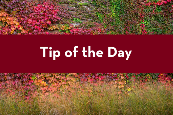 LC Tip of the Day Blog
