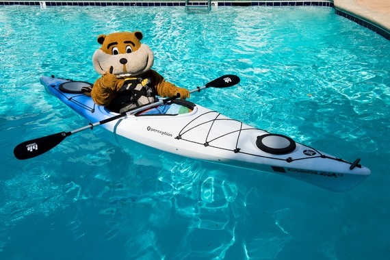 Photo of Goldy canoeing in a pool