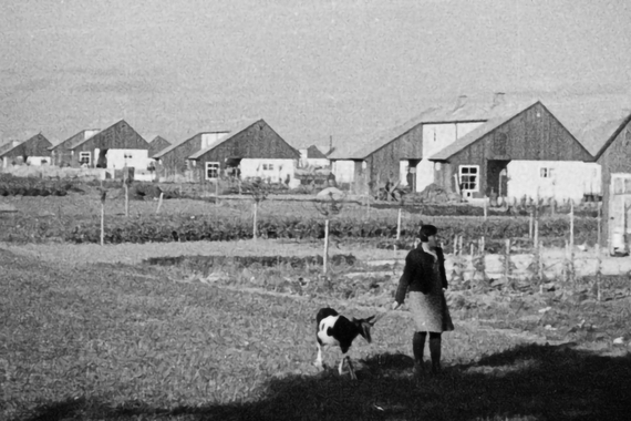 Woman Walking With a Goat in Front of Farm Homes