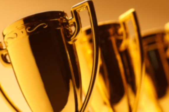 image of award trophies