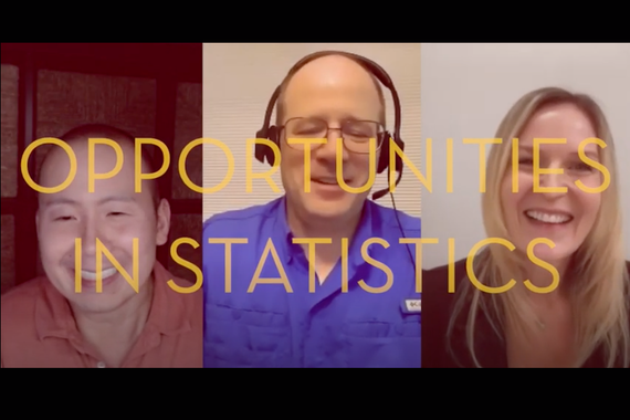 Thumbnails of Opportunities in Statistics YouTube series