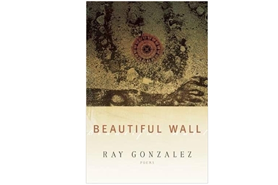 Book cover for Beautiful Wall