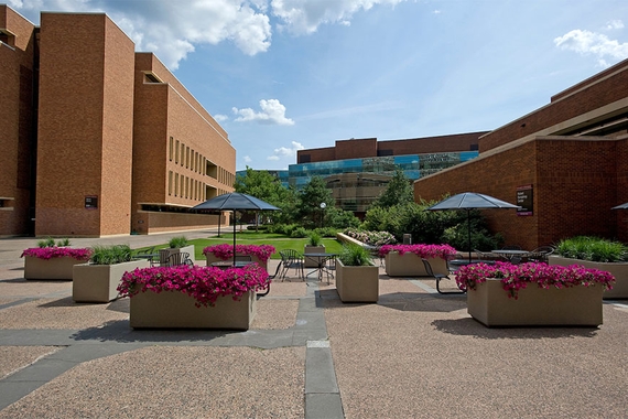 Photo of Wilson Library and the Humphrey School of Public Affairs in summer with purple flowers in planters in the foreground
