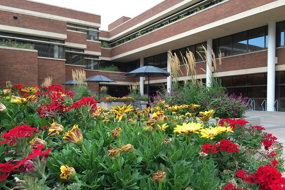 Image of flowers in front of the Humphrey School