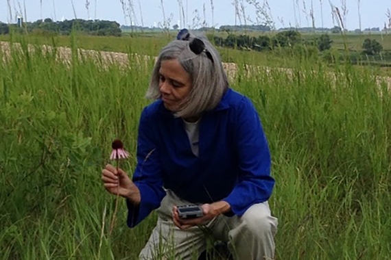 Ruth Shaw examining a cone flower
