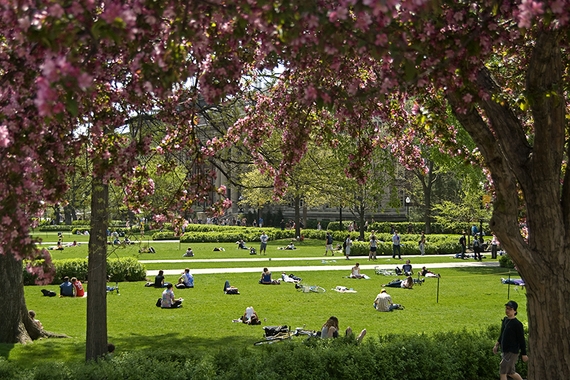 Image of spring on the Mall