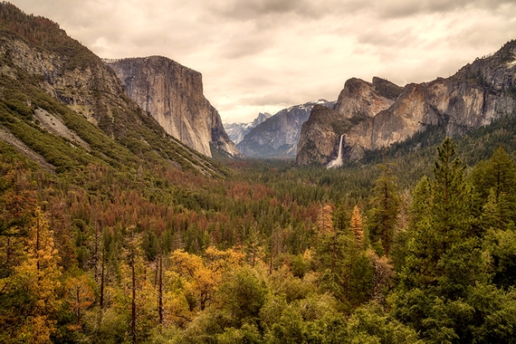 Photo of Yosemite National Park: mountains and distant waterfall in the background and fall foliage forest in valley in the foreground
