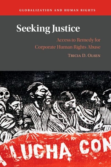 Cover of Seeking Justice