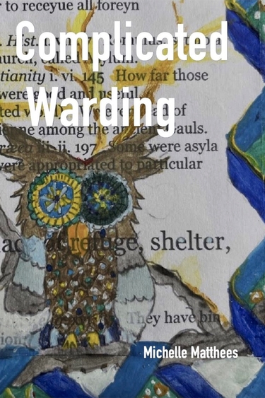 Book cover with illustration of colorful owl over type on white paper, and text: Complicated Warding Michelle Matthees