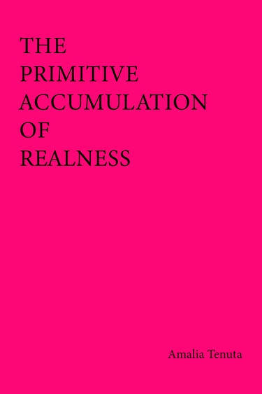 Hot pink rectangle with black text: The Primitive Accumulation of Realness Amalia Tenuta