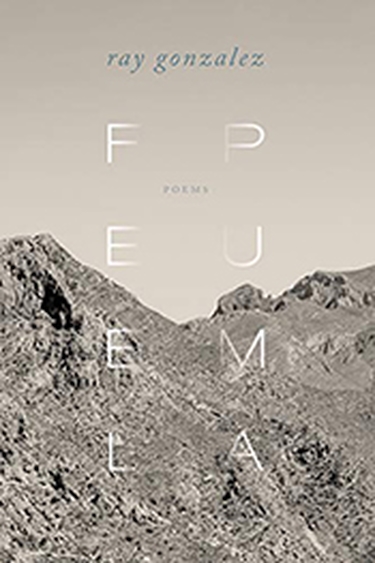 Cover image of Ray Gonzalez' Feel Puma, with black and white photo of desert mountain as background and title in two vertical rows