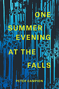 Book cover of Peter Campion's One Summer Evening at the Falls with blue and black image of falling water and flowers