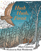 Cover of HUSH HUSH FOREST