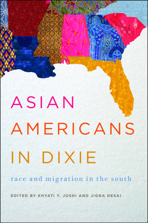 Jigna Desai, Asian Americans in Dixie