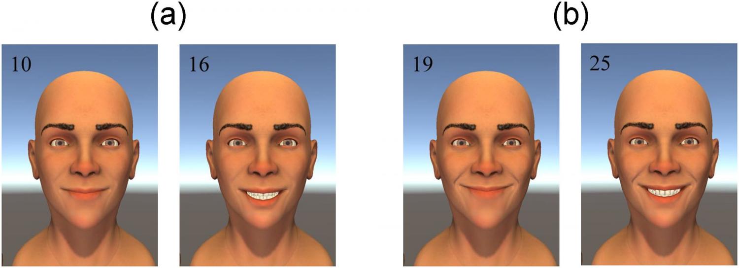 Helwig's animated facial models.