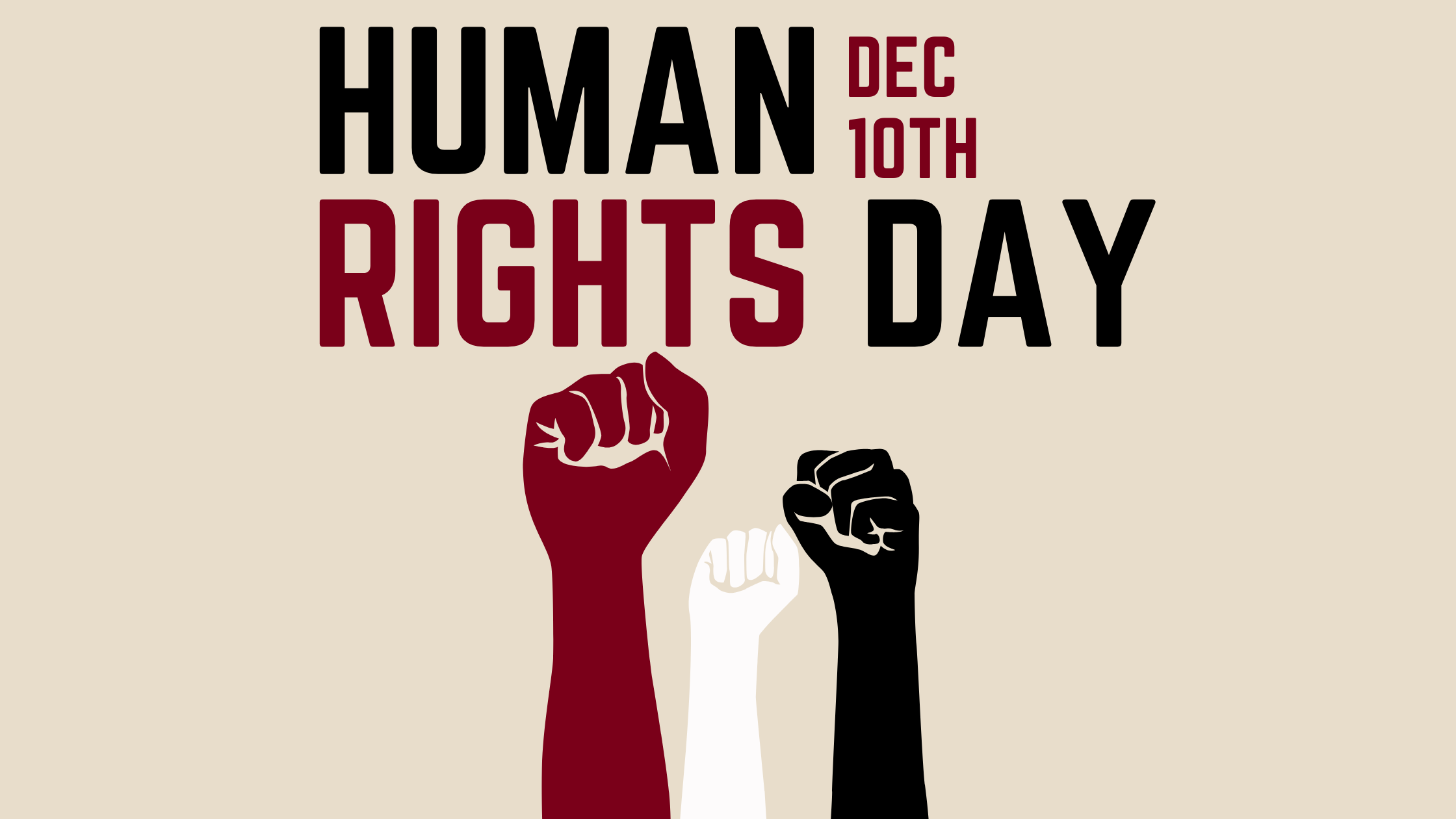 Human Rights Day A Look Towards The Future Human Rights Program College Of Liberal Arts