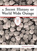 Cover of A SECRET HISTORY OF WORLDWIDE OUTAGE