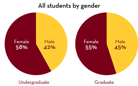 Diversity by gender: Undergraduate students Female 58%, Male 42%; Graduate students Female 55%, Male 45%
