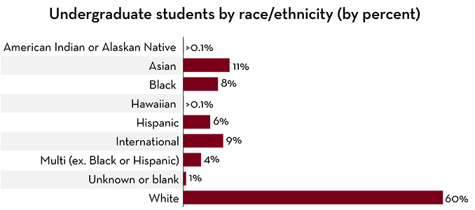 Undergraduate Diversity graph 2020